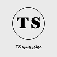 موتور ویبره TS