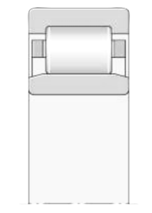 رولبرینگ nu FAG