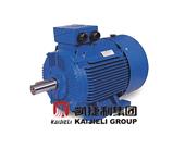 الکتروموتور WEG سه فاز 250 کیلووات 340 اسب