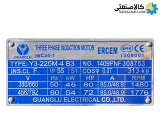 الکتروموتور ارسم گوانگلو 45KW سه فاز 
