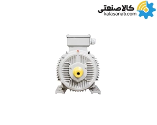 الکتروموتور ارسم گوانگلو 18.5KW سه فاز 