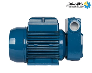 پمپ پنتاکس Pentax سوپاپ سرخود تکفاز 1 اسب MD100