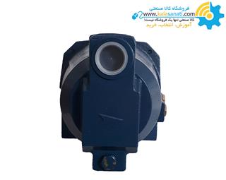 پمپ آب جتی 1 اسب ایکار IAM100-P