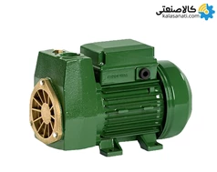 پمپ محیطی 1 اسب 1 اینچ سیلند ایتالیا مدل PA 100M